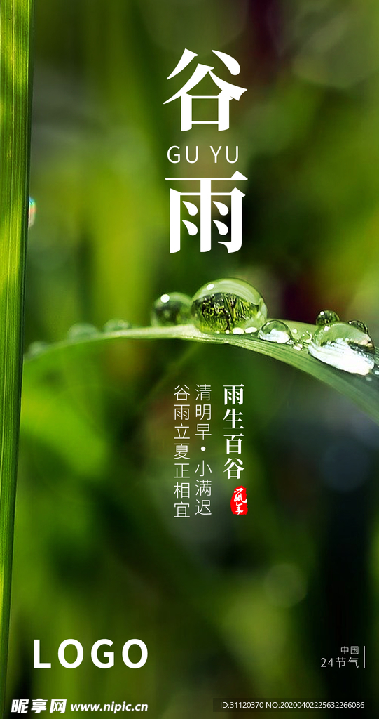 谷雨