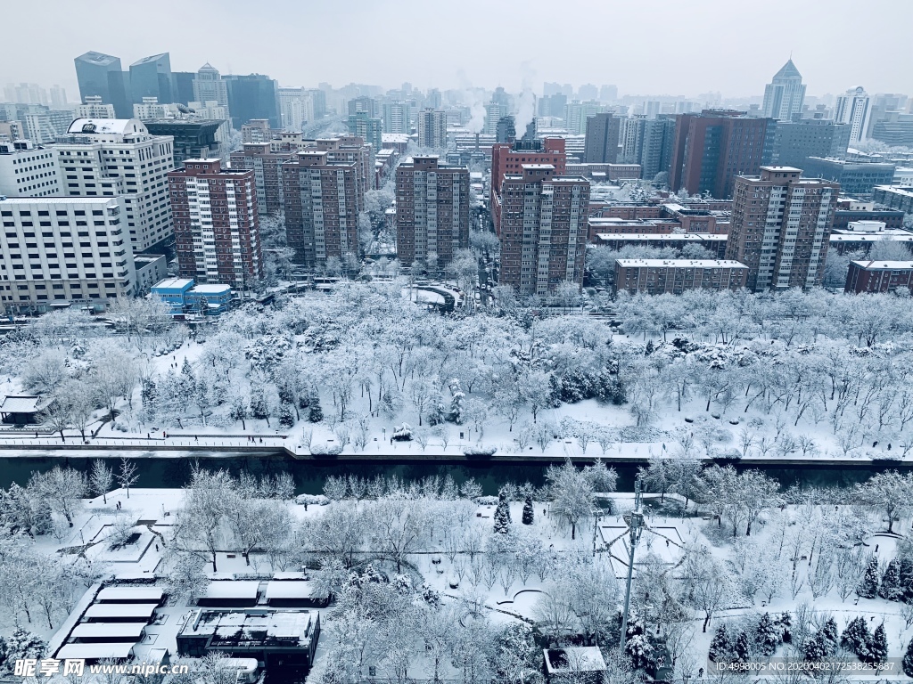 雪景