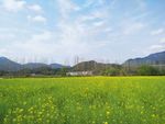 田园风光