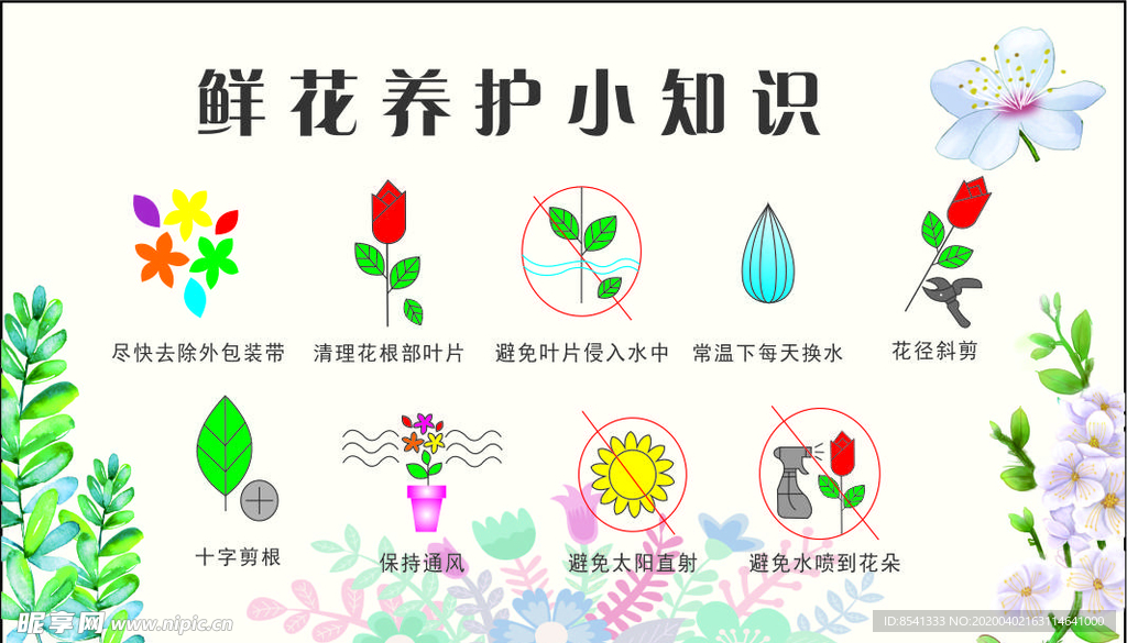 鲜花养护小知识