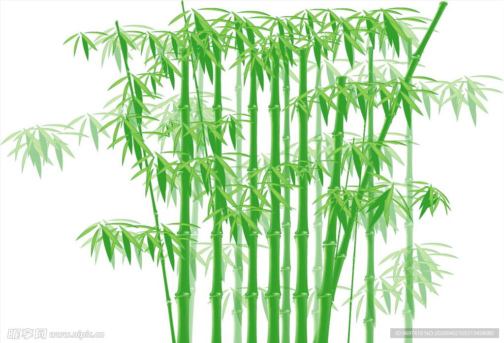 手绘竹子