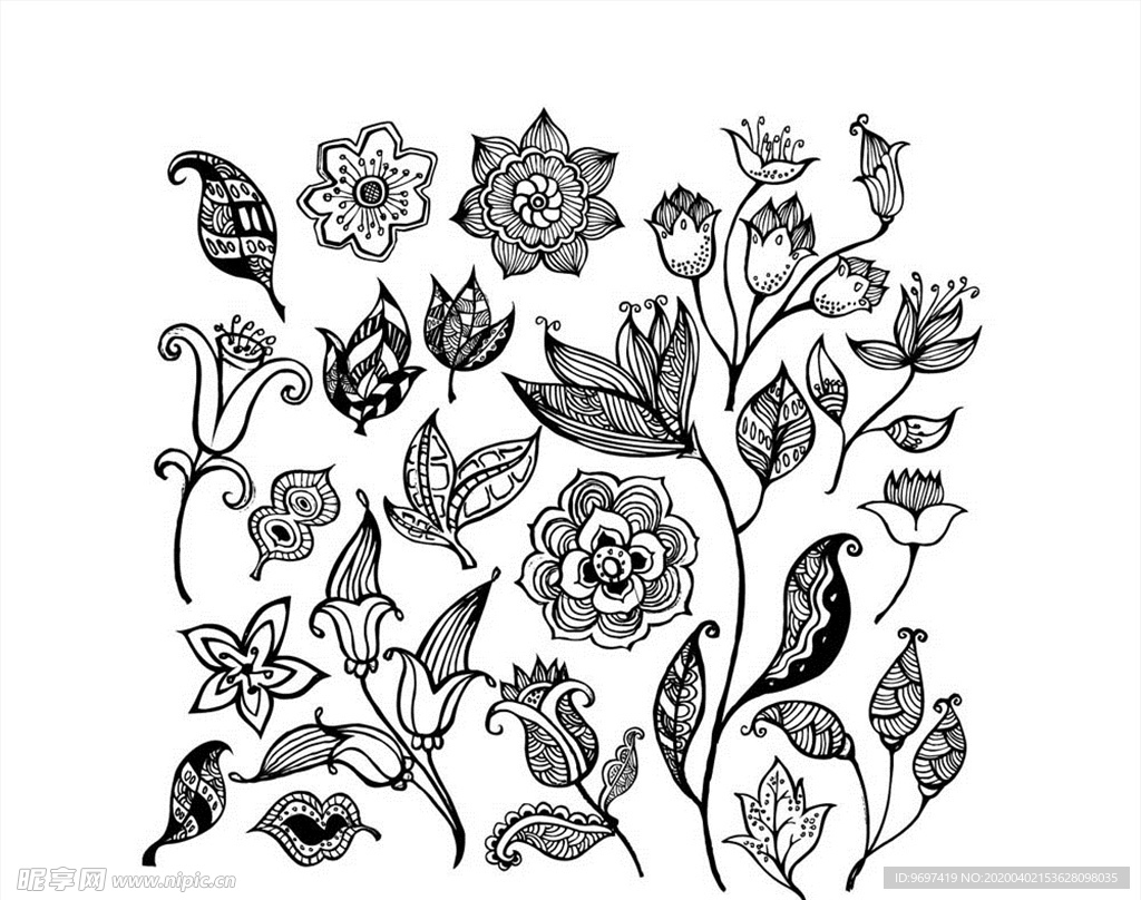时尚花纹花边