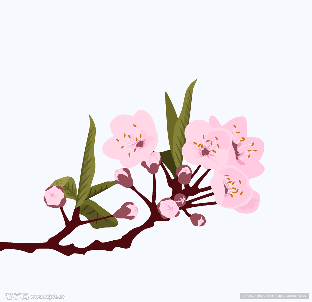 樱花