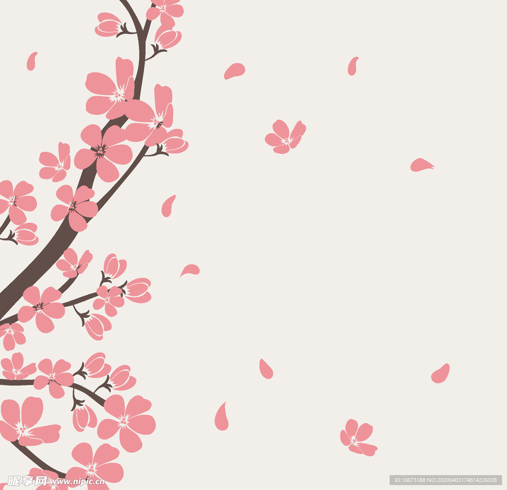樱花