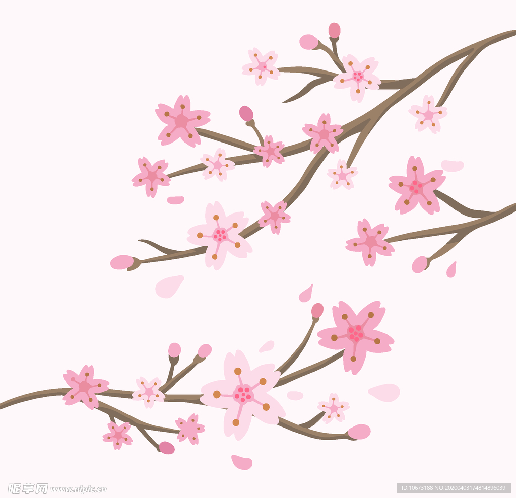 樱花