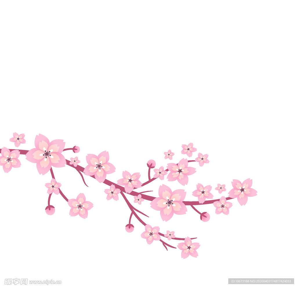 樱花
