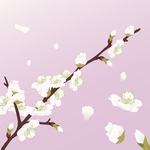 樱花