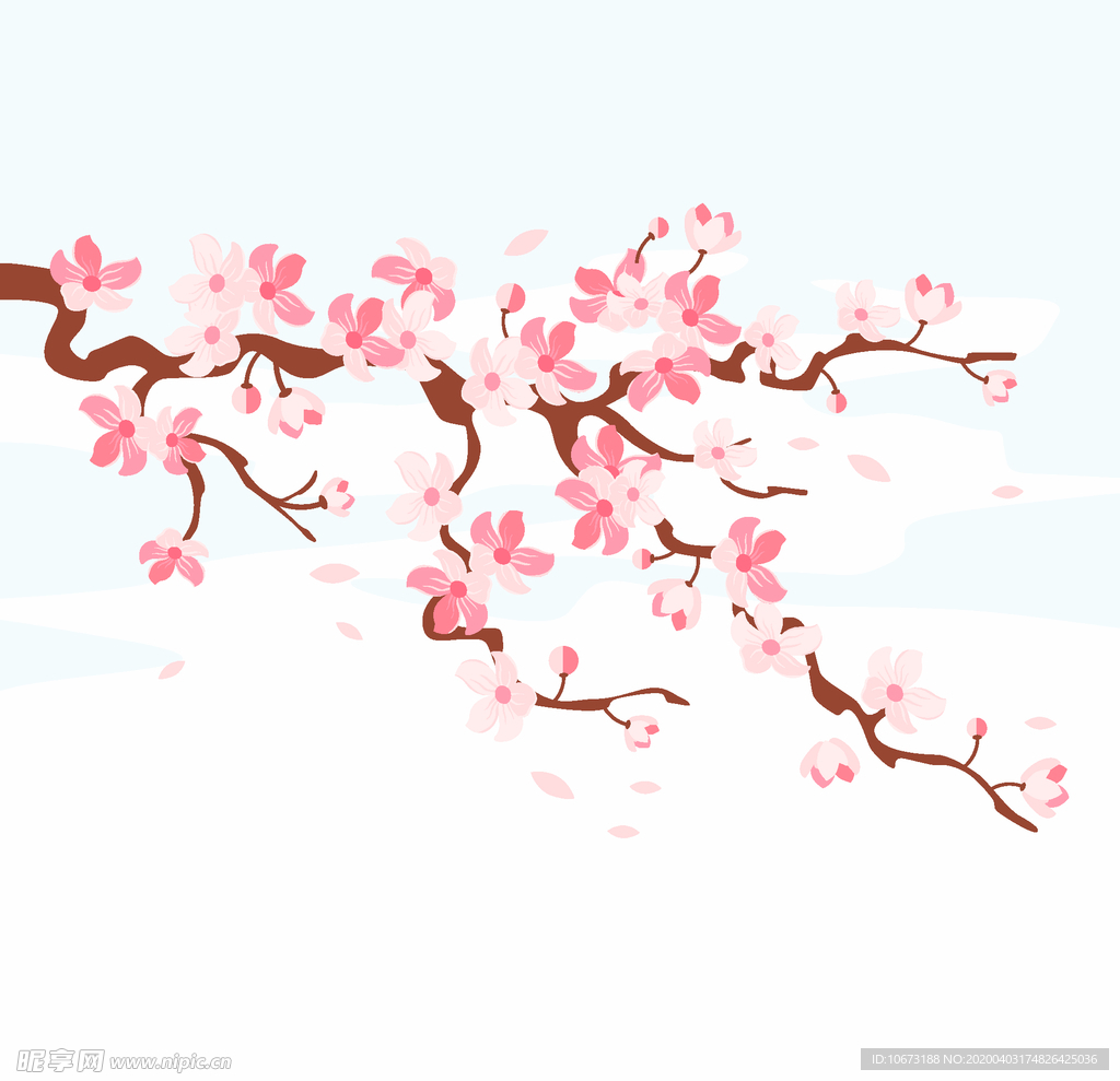 樱花