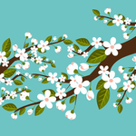 樱花