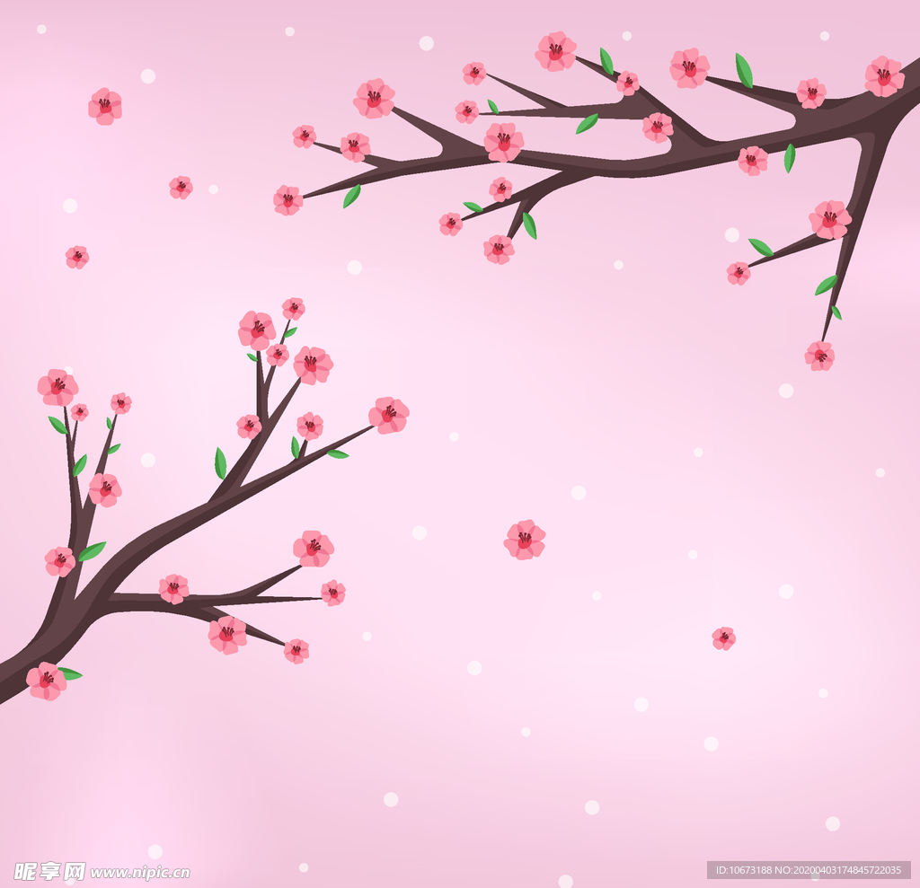 樱花