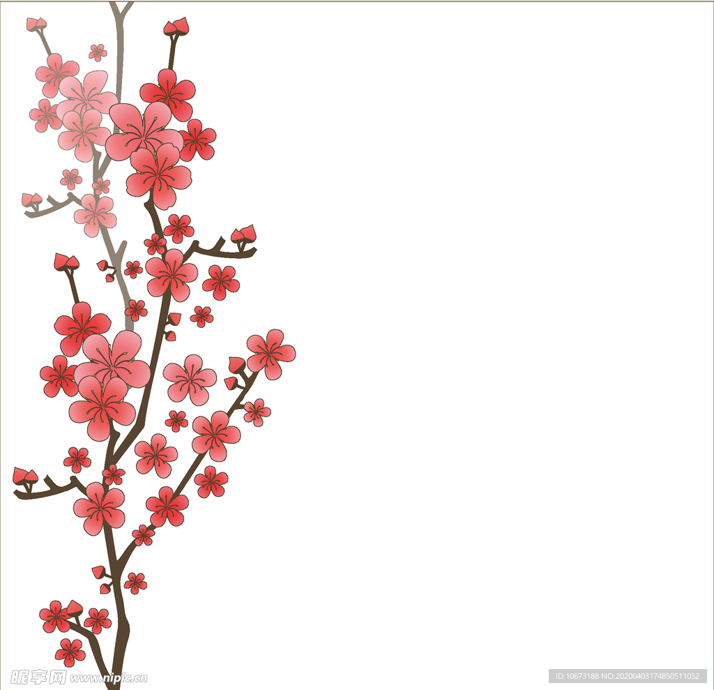 樱花
