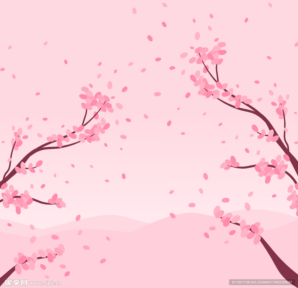 樱花