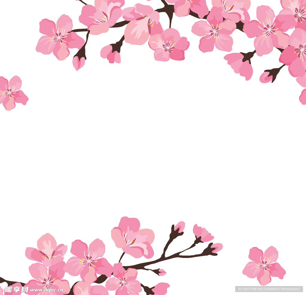 樱花