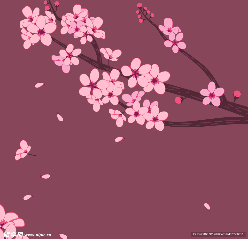 樱花