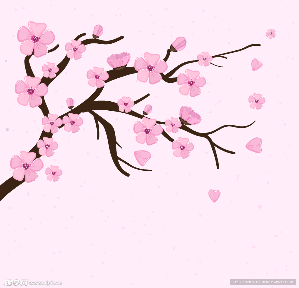 樱花