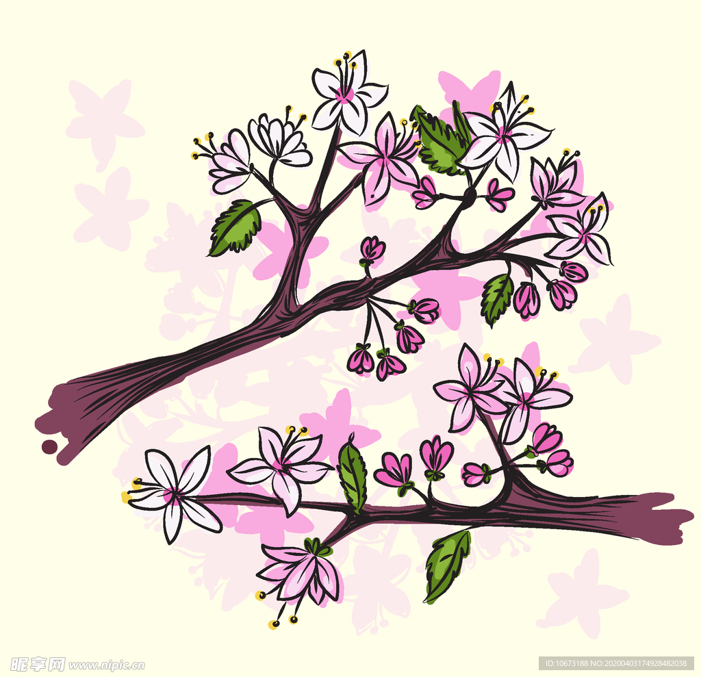 樱花