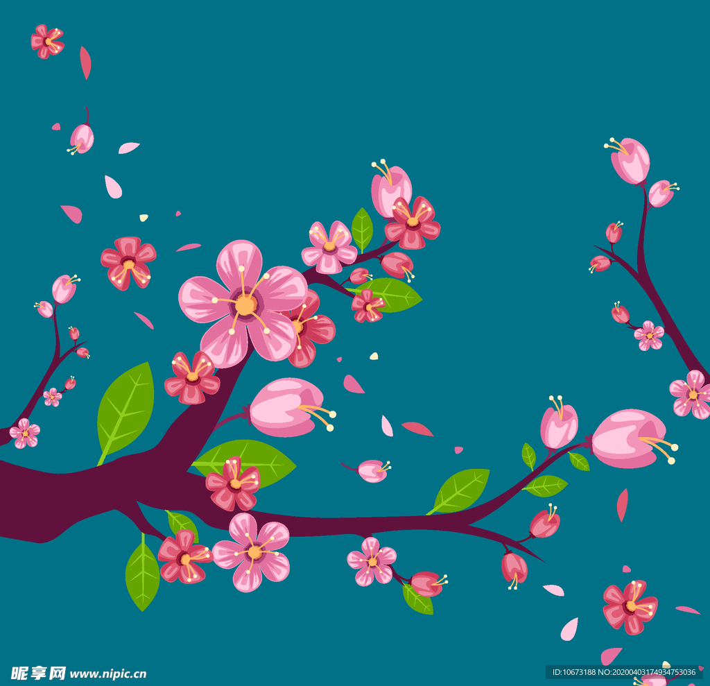 樱花