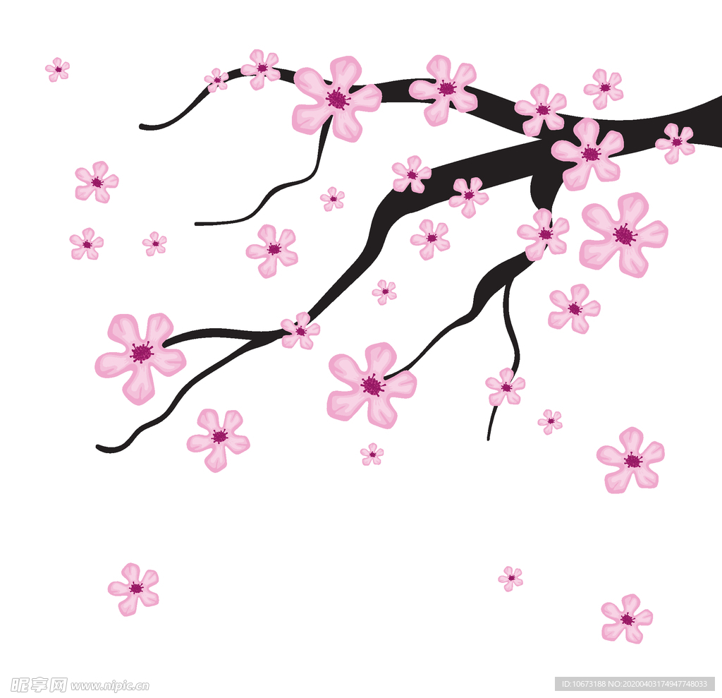 樱花