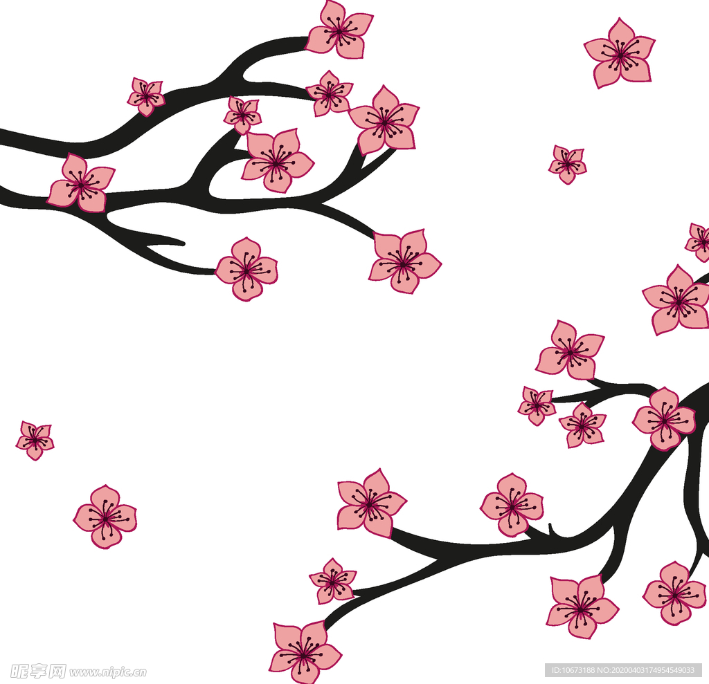 樱花