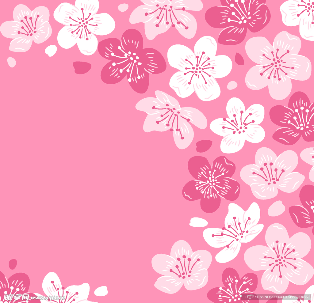 樱花