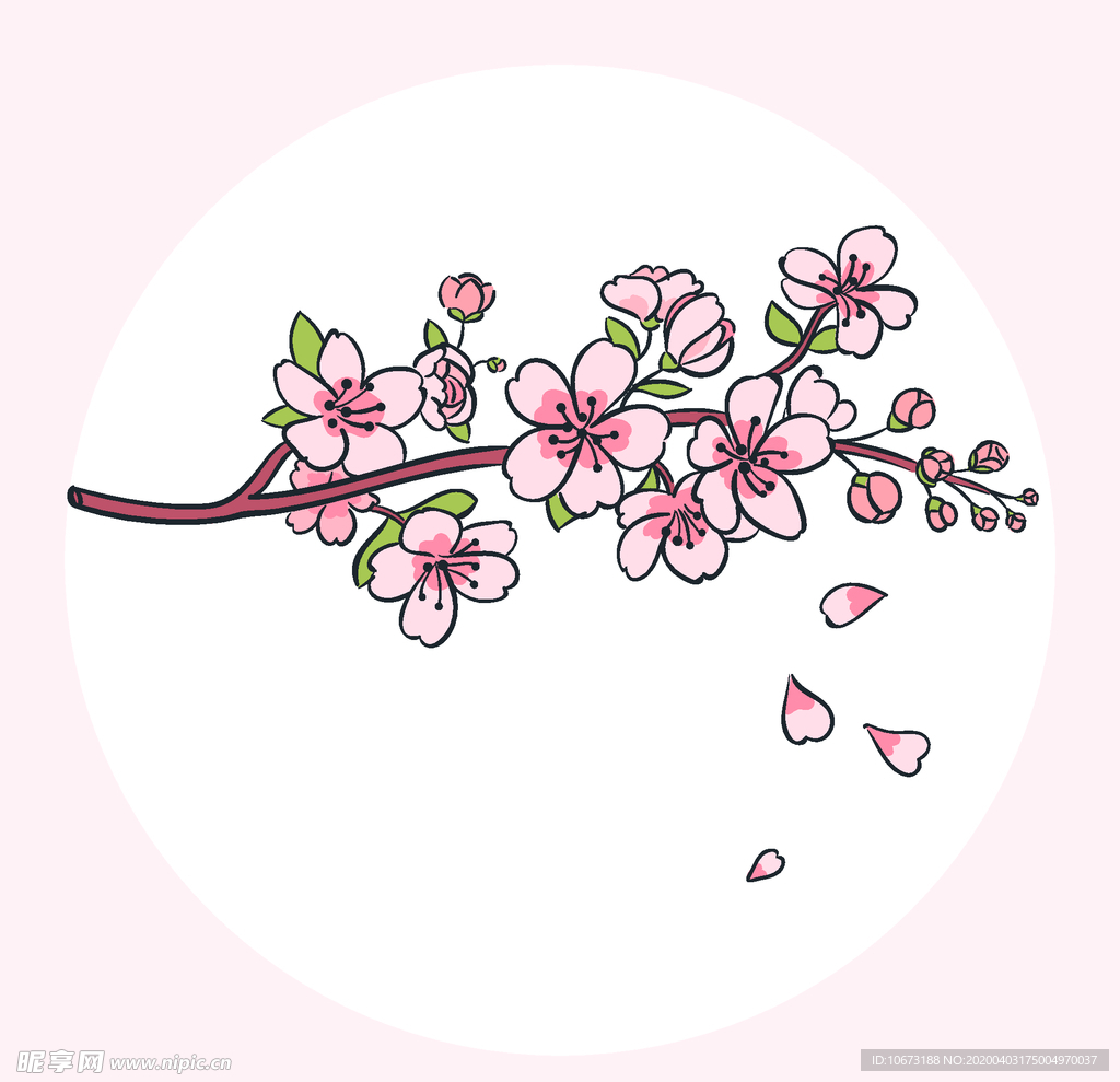 樱花