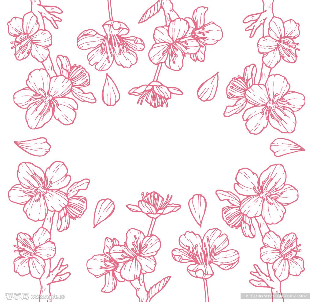 樱花