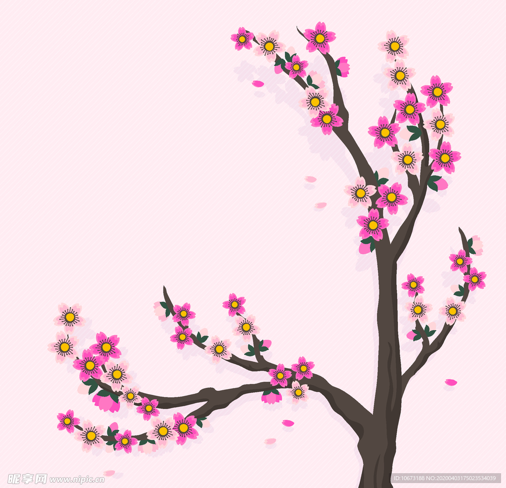樱花