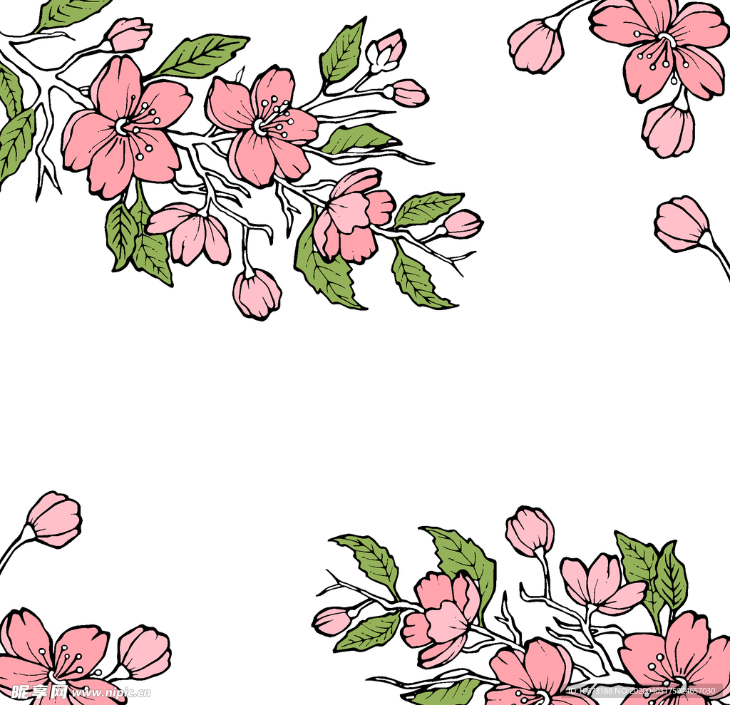 樱花