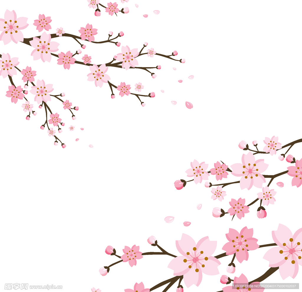 樱花