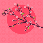 樱花