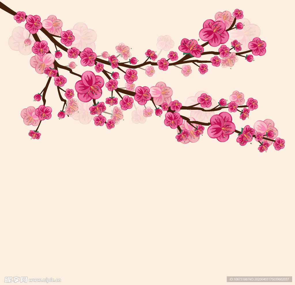 樱花