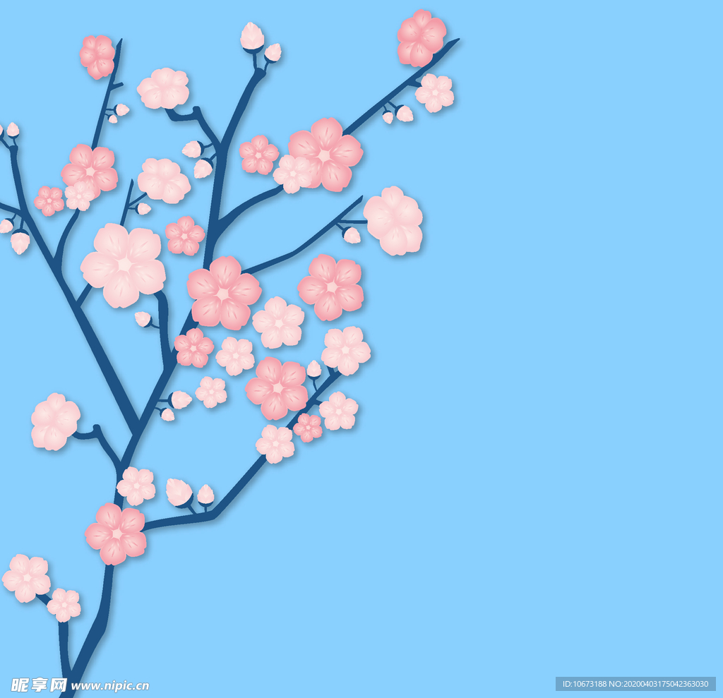 樱花