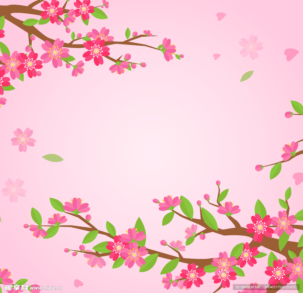 樱花