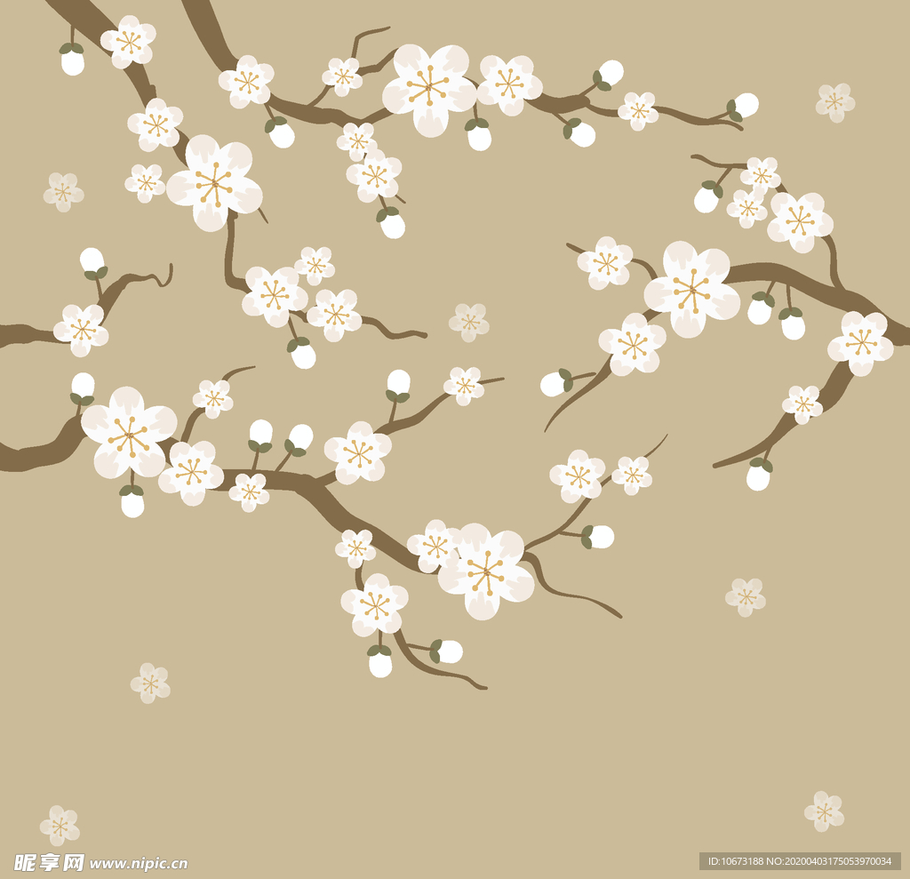 樱花