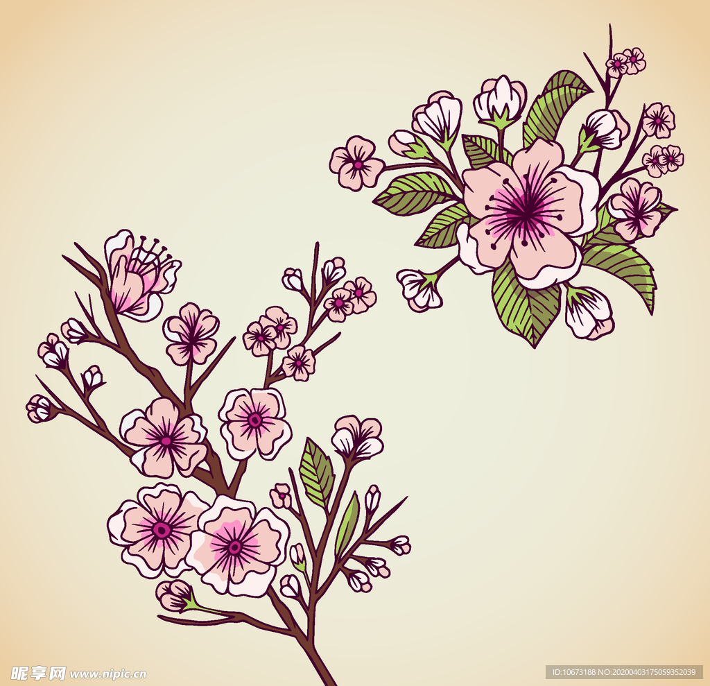 樱花