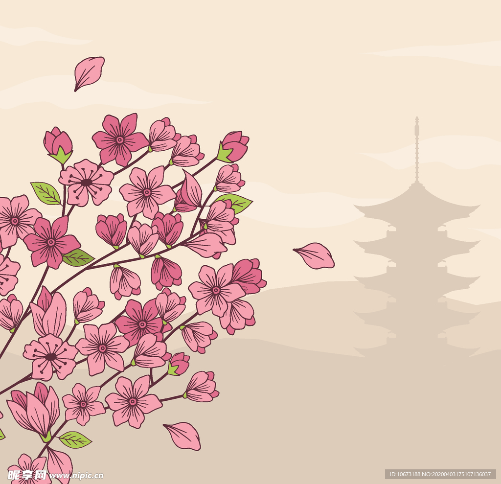 樱花