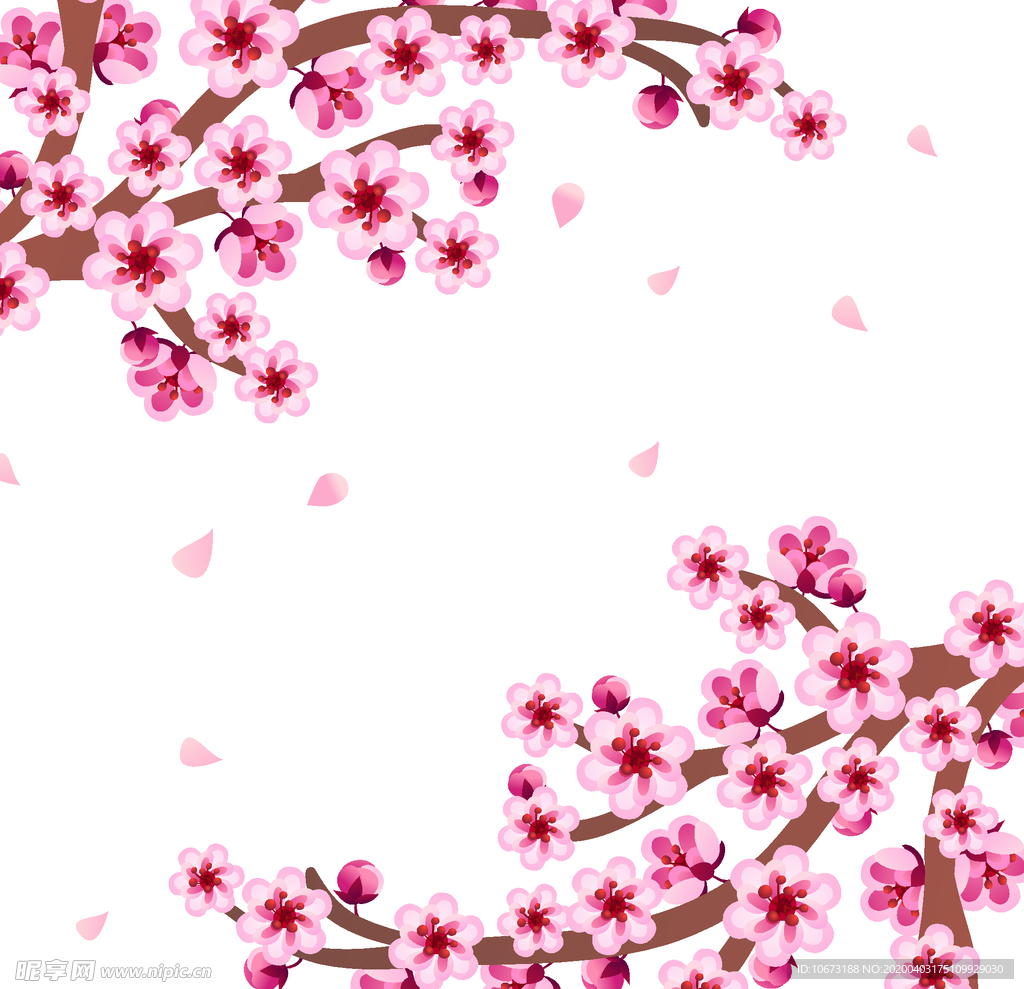 樱花