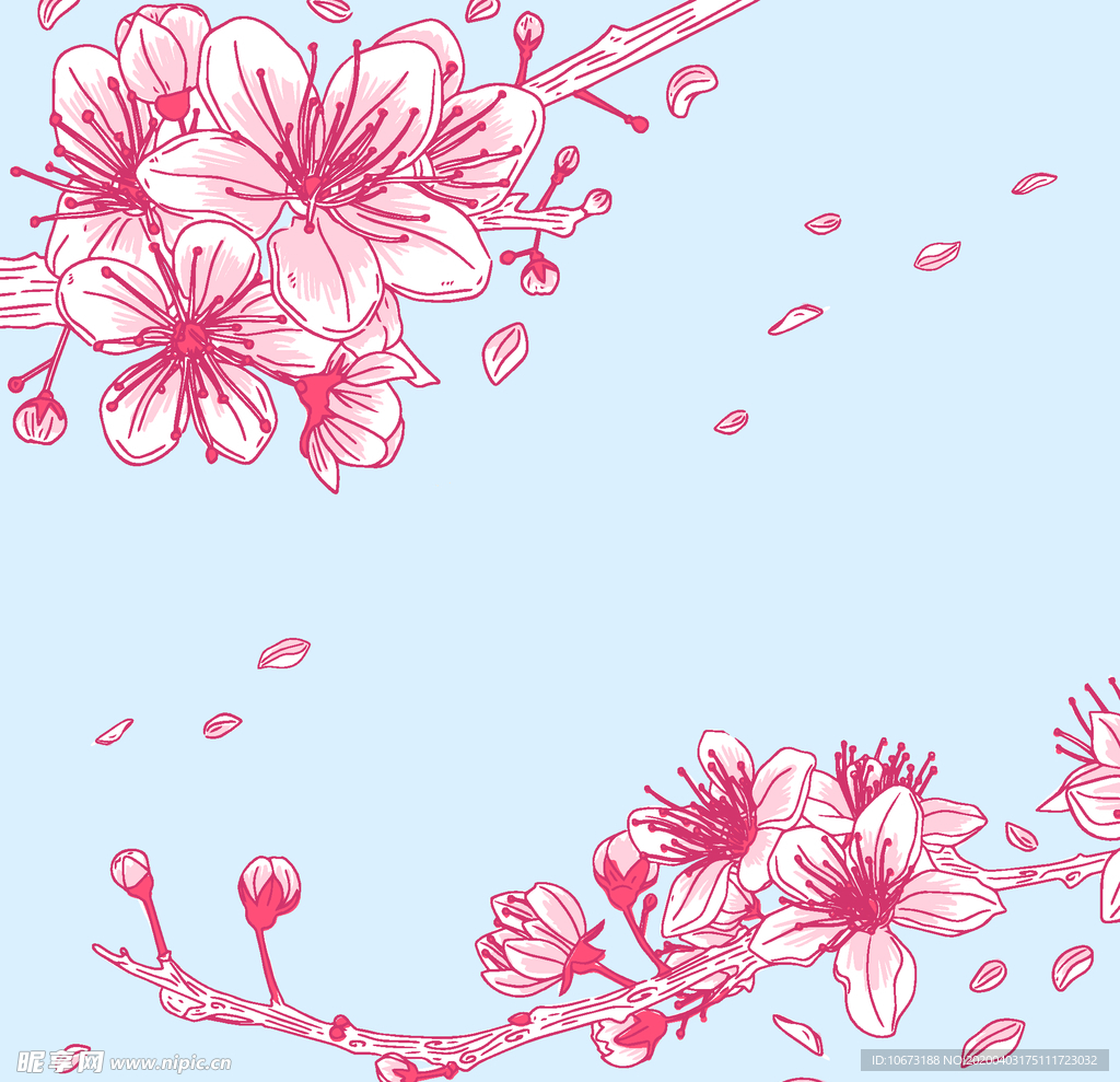 樱花