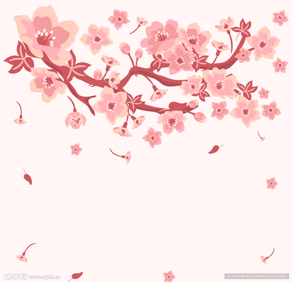 樱花