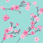 樱花