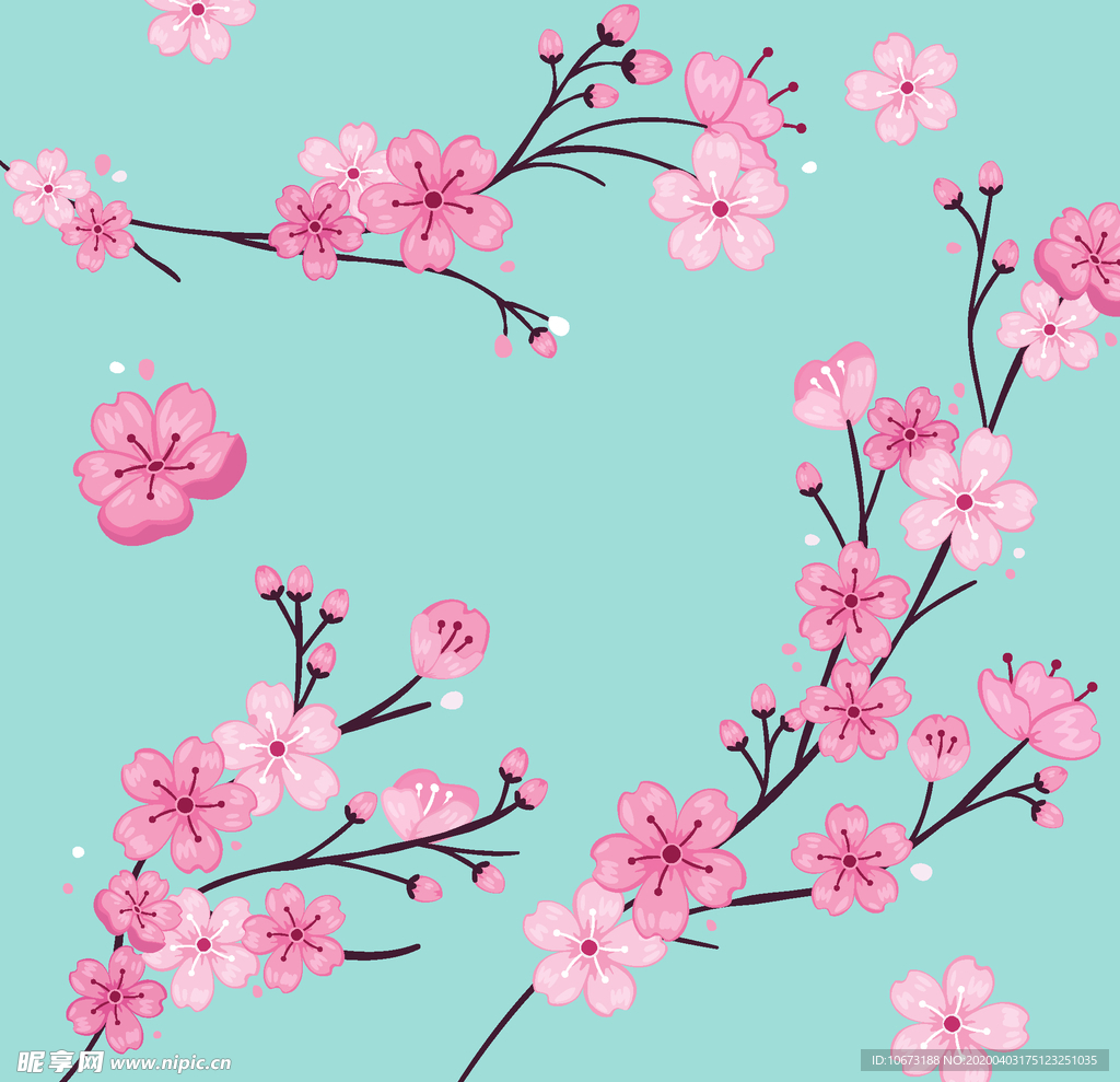 樱花