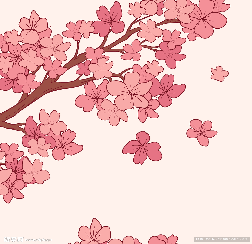 樱花