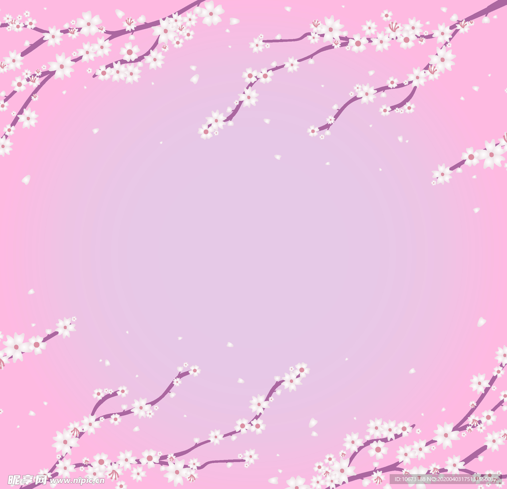 樱花
