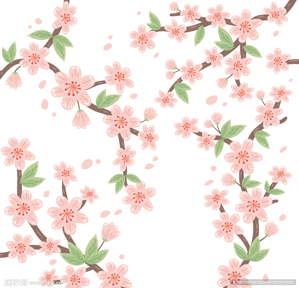 樱花