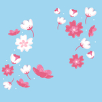 樱花