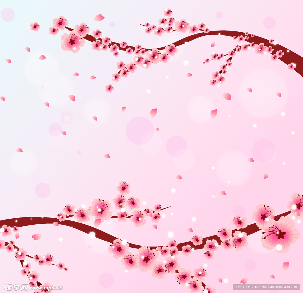 樱花