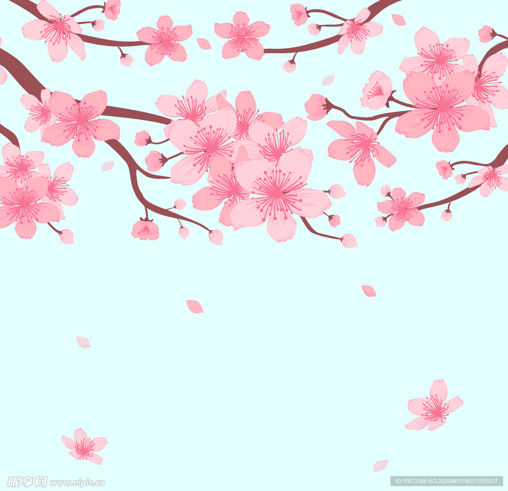 樱花