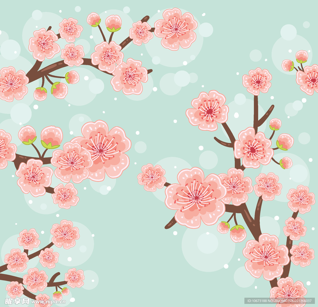 樱花