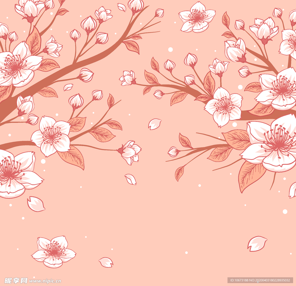 樱花