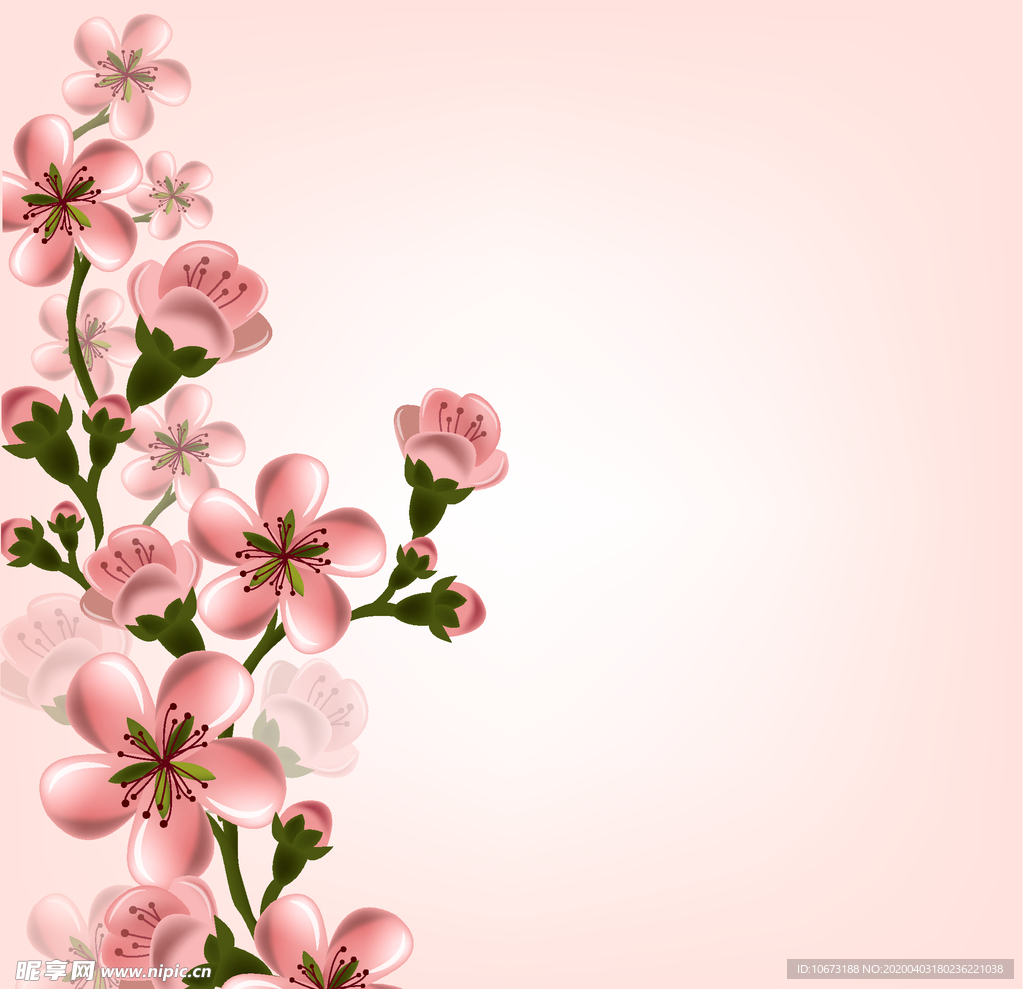 樱花